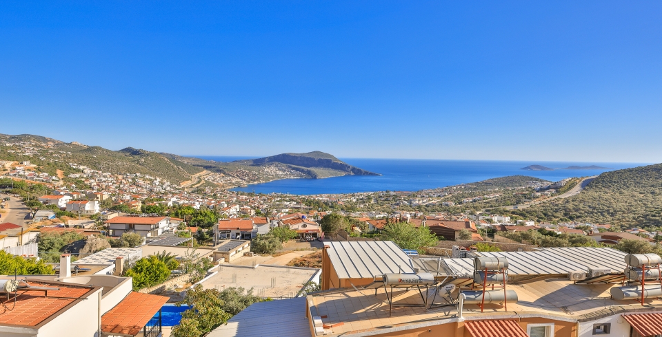 Apart Petunya 3 Resim