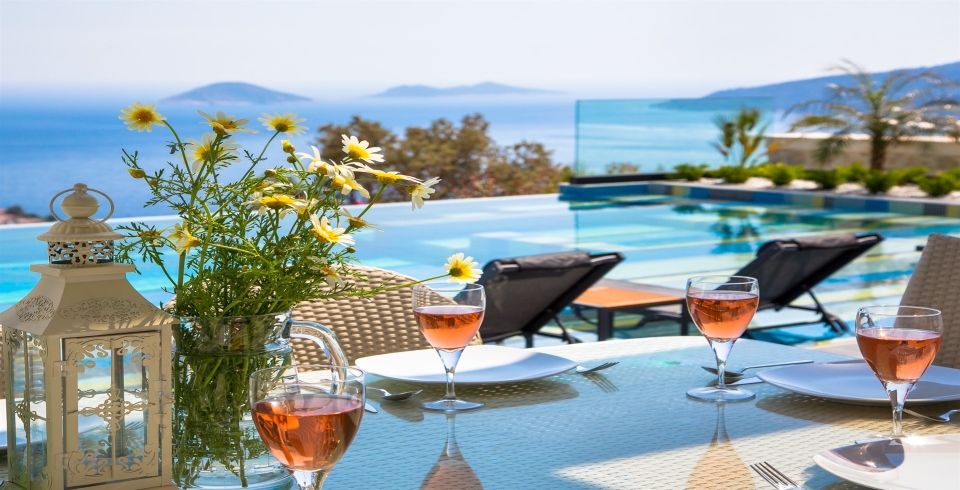 Villa Panorama View 3 Resim