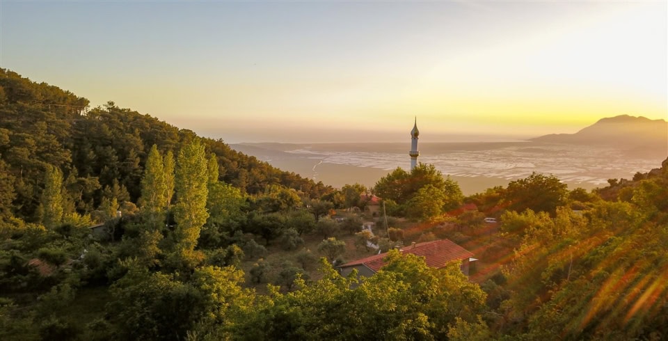 Villa Mevsim Üzümlü 2 Resim