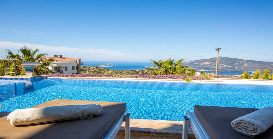 Villa Tiger Exclusive 1 Resim