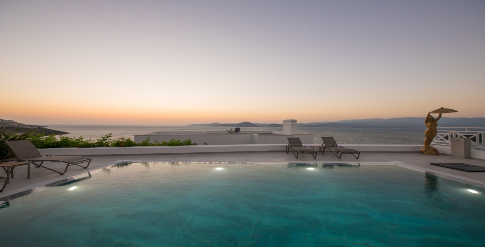 Villa Boss 1 1 Resim