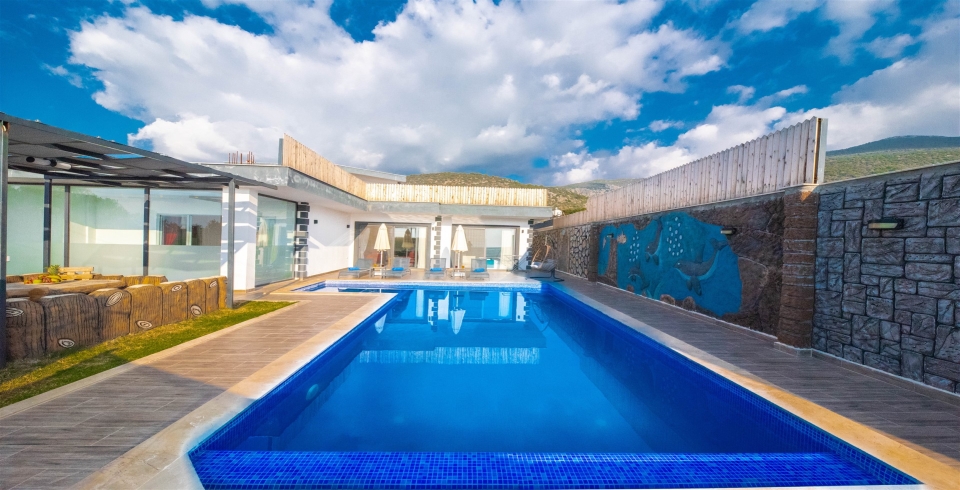 Villa Şeftali 3 Resim