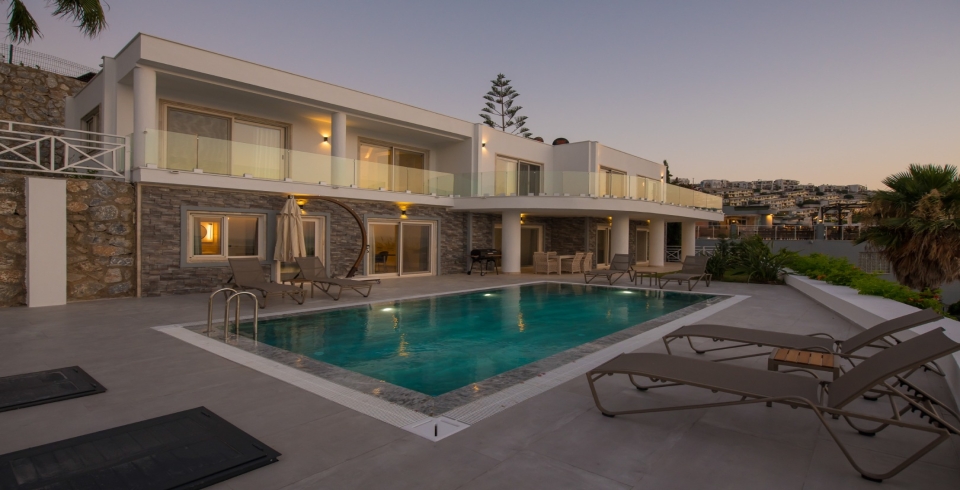 Villa Boss 1 0 Resim