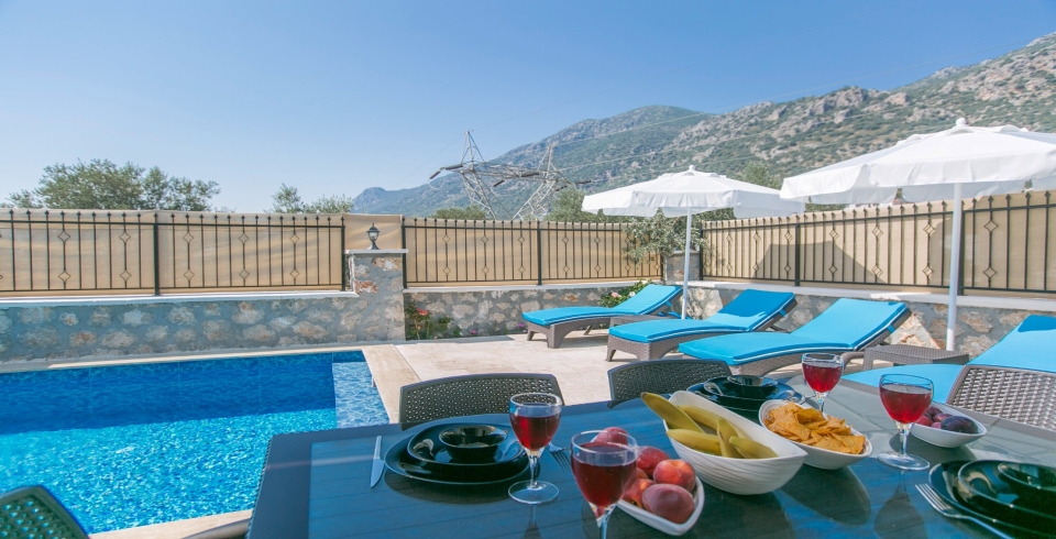 Villa Samyeli 4 Resim