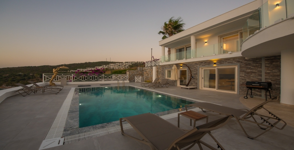 Villa Boss 1 4 Resim