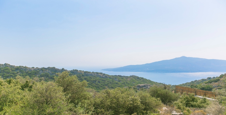 Villa Samyeli 2 Resim