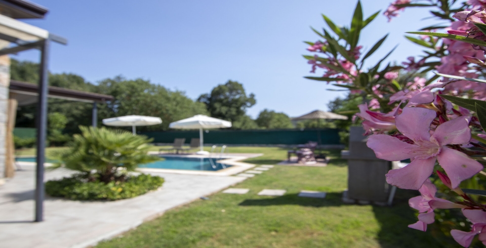 Villa Petunya Kayaköy 4 Resim