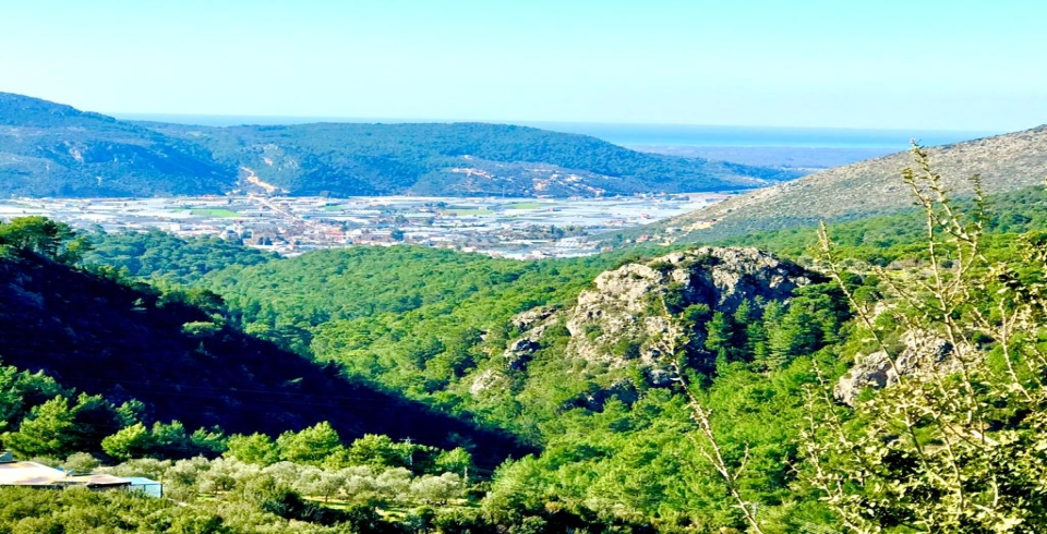 Villa Metehan Luxury 1 Resim