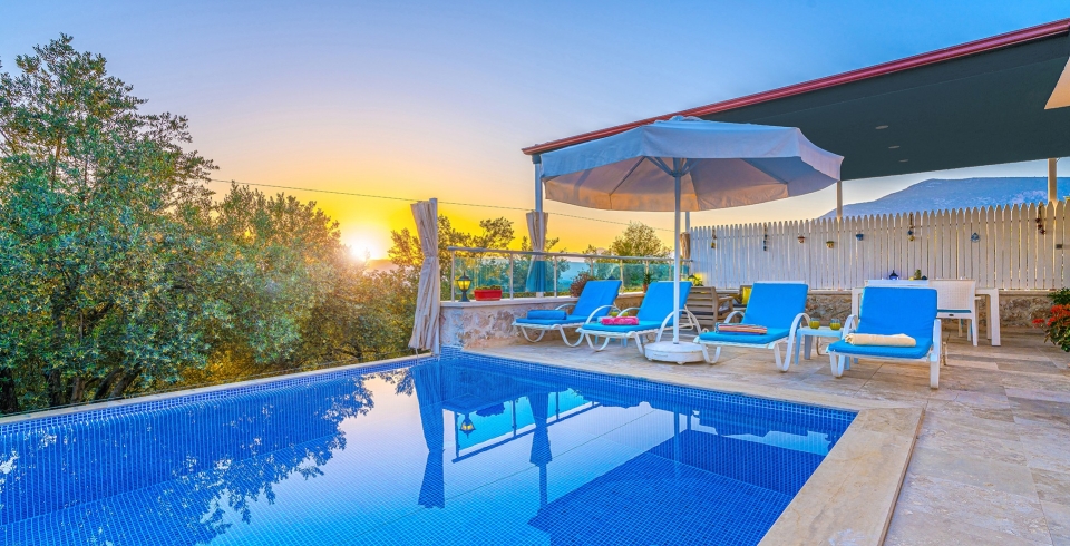 Villa Samyeli Üzümlü 4 Resim