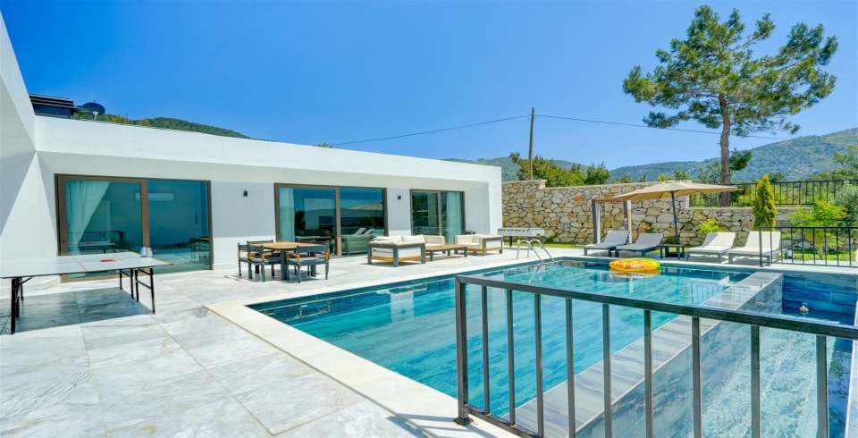 Villa Mercury 9 3 Resim