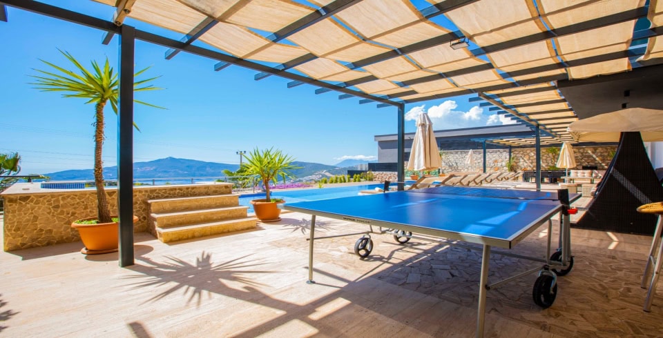 Villa Tiger Exclusive 3 Resim