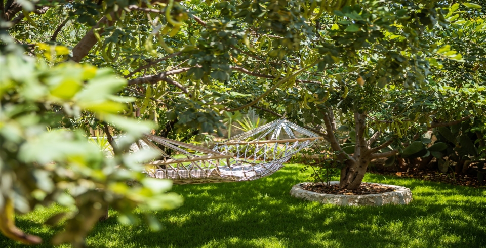 Villa Amarillo 1 Resim