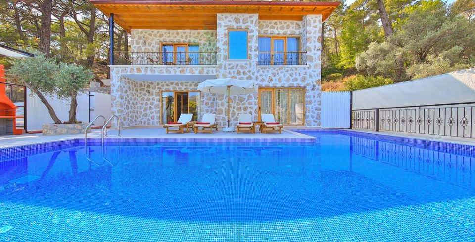 Villa Aslan 2 Resim