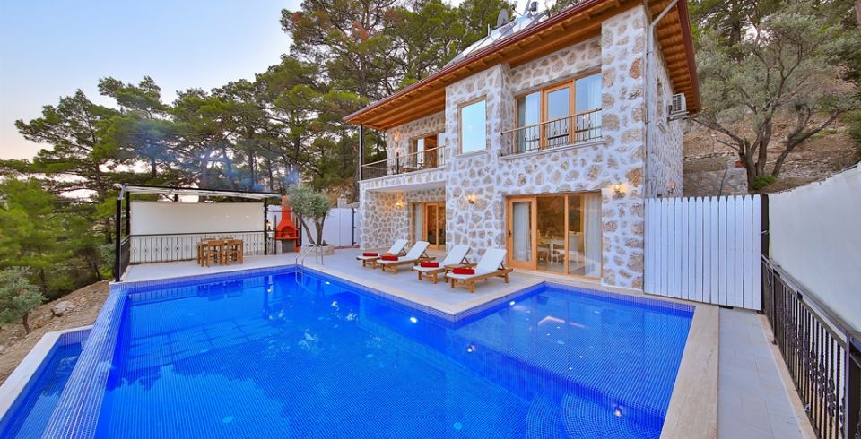 Villa Aslan 3 Resim