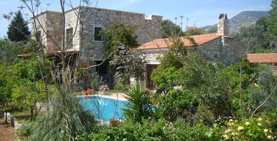 Villa Solace 1 Resim