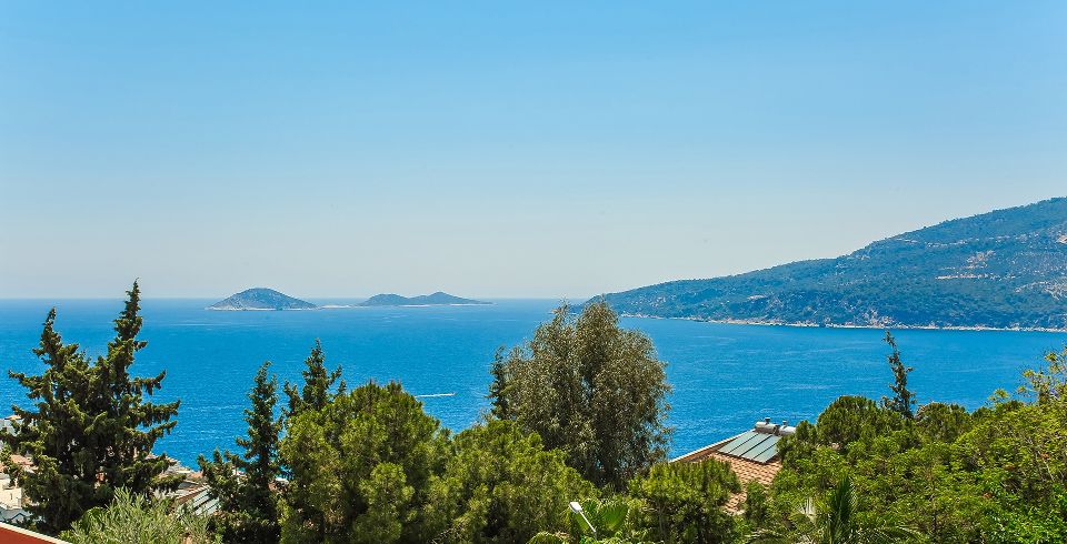 Villa Greenscape 4 Resim