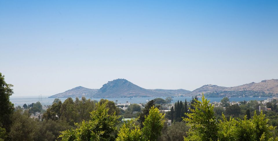 Villa Sarı Kavak 1 Resim