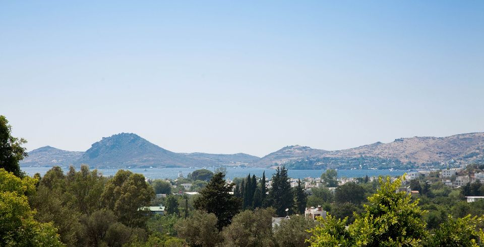 Villa Sarı Kavak 3 Resim