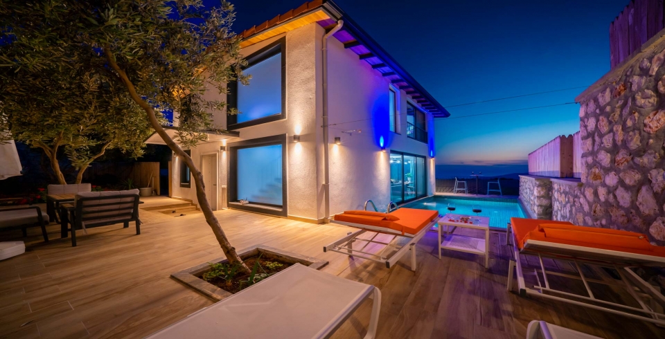 Villa Therapy Olea 2 Resim