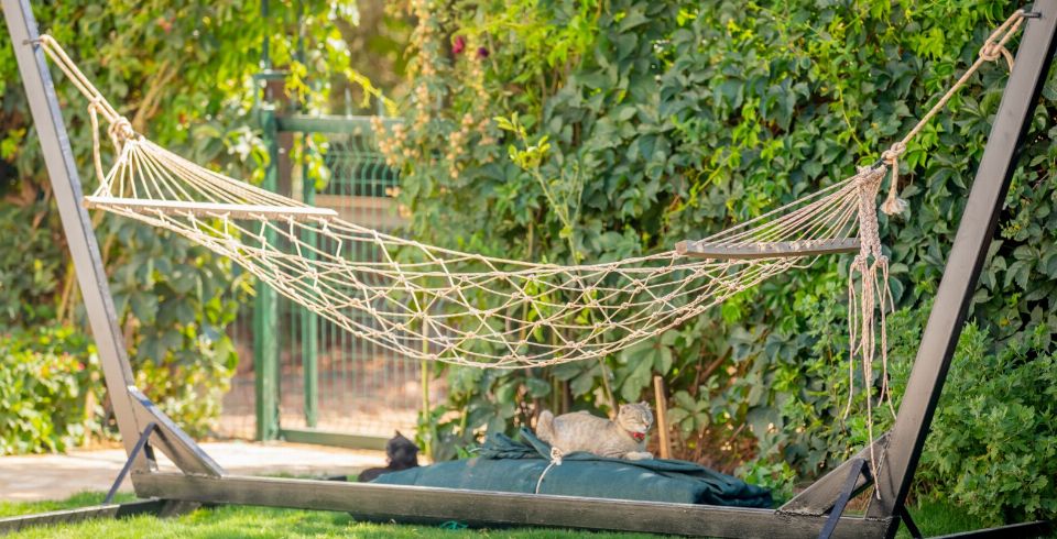 Villa Yediveren 1 2 Resim