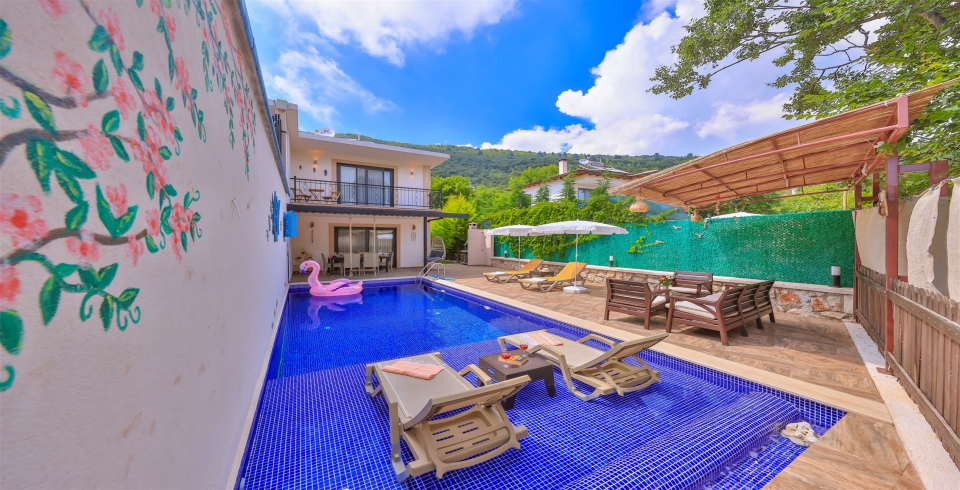 Villa Yiğit 0 Resim